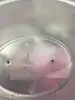 mijoteuse rival smart-pot