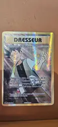 carte pokémon dresseur vaillance de pierre supporter full hart 107/108