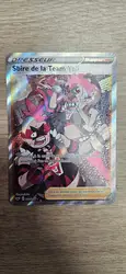 carte pokémon sbire de la team yell 202/202