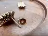 330442 boucles d'oreilles puces pavée d'oxydes