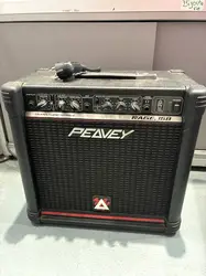 ampli de guitare peavey rage 158