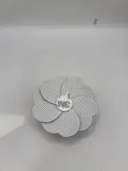 camelia chanel