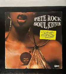vinyle pete rock - soul survivor (1998)