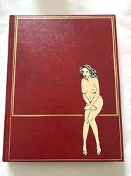 livre les chefs-d'oeuvre de la bande dessinée érotique tome 13 humour l'humour érotique par l'exemple jacky goupil
