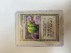 carte pokémon baie prine 78/106-fr