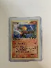 carte pokémon brasegali 20/110 -fr