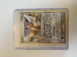 carte pokémon evoli 63/100 -fr