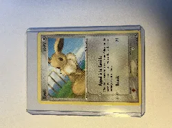 carte pokémon evoli 69/113 -fr