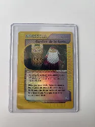carte pokémon gardien de la forêt 123/147