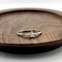 20004610 bague centrée d'oxydes t58