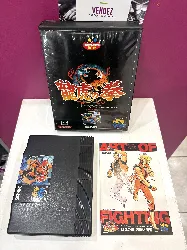 jeu pc ryuuko no ken