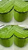 sac porté épaule michael kors empire en cuir effet crocodile vert pomme avec détails argentés