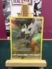 carte pokemon medhyena gg33/gg70