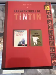 livre double album tintin edition france loisirs