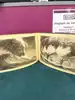 livre souvenirs de l'eternel present