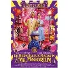 dvd le merveilleux magasin de mr magorium