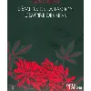 dvd nagisa ôshima : l'empire des sens + l'empire de la passion - édition prestige
