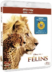 blu-ray félins - inclus le documentaire pollen