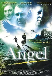 dvd angel
