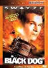 dvd black dog