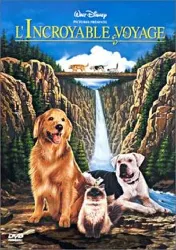 dvd l'incroyable voyage