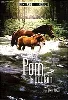 dvd pom, le poulain