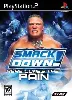 jeu ps2 smack down 'here comes the pain'