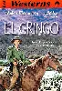 dvd el gringo
