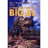 dvd l'incroyable aventure de big al