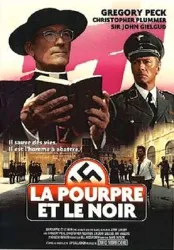 dvd la pourpre et le noir