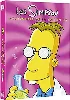 dvd les simpson - l'intégrale de la saison 16