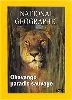 dvd national geographic : okavango, paradis sauvage