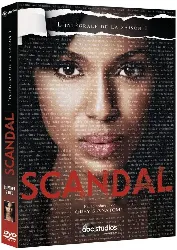 dvd scandal - saison 1