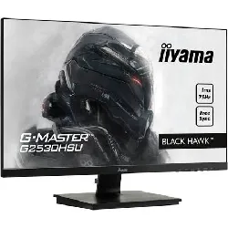 ecran pc 20" iiyama pl2001