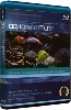 blu-ray aquarium marin