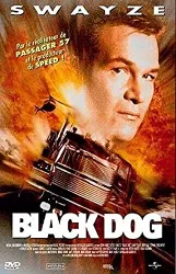 dvd black dog