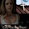 dvd buffy contre les vampires