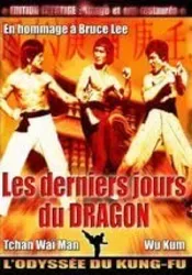 dvd les derniers jours du dragon