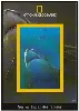 dvd national geographic : sur les traces des requins