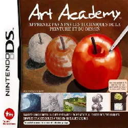 jeu nintendo ds art academy