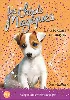 livre chiots magiques n03 la tete