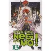 livre negima - le maitre magicien - tome 13