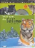 livre sur les traces des félins
