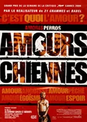 dvd amours chiennes - edition belge