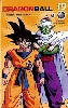 livre dragon ball (volume double) - tome 19