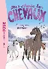 livre mes amis les chevaux, tome 7 : la surprise de l'hiver