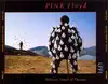 cd pink floyd - delicate sound of thunder (2000)
