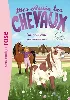 livre mes amis les chevaux, tome 1 : un nouveau pensionnaire