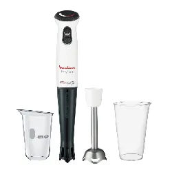 mixer baton moulinex rm 1 g