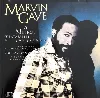 cd marvin gaye - a musical testament 1964 - 1984 (1988)
